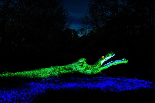 Ute Marke_02_Licht