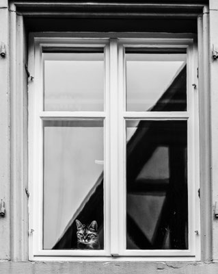 Ute Marke_09
