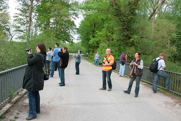 Fotoexkursion in der Hördter Rheinaue mit den Teilnehmern des Fotokurses im April 2009.