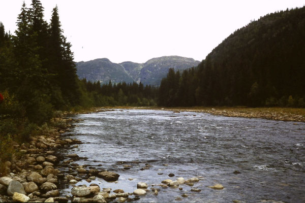 Wolfgang Baricham_Zufluss NisserSee, Norwegen