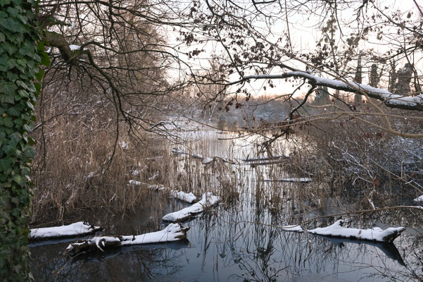 Treidlerweg_Hermann Werle 30