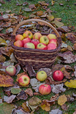 Wigand Schneiderheinze_03_Herbstzeit