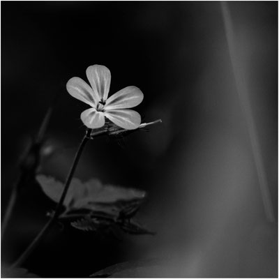 Ute Marke_05
