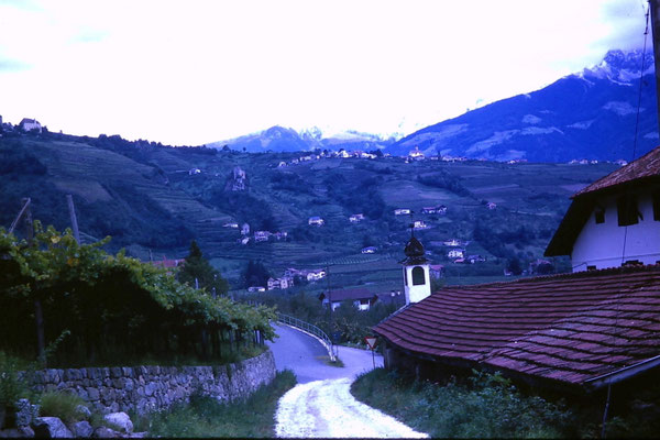 Wolfgang Baricham_Algund bei Meran