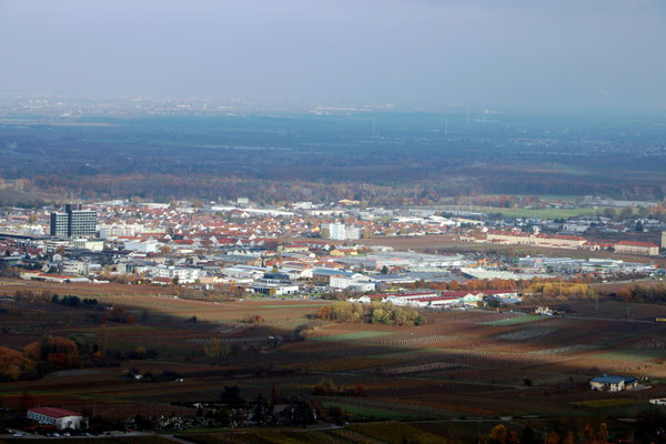 Wolfgang Baricham_Neustadt