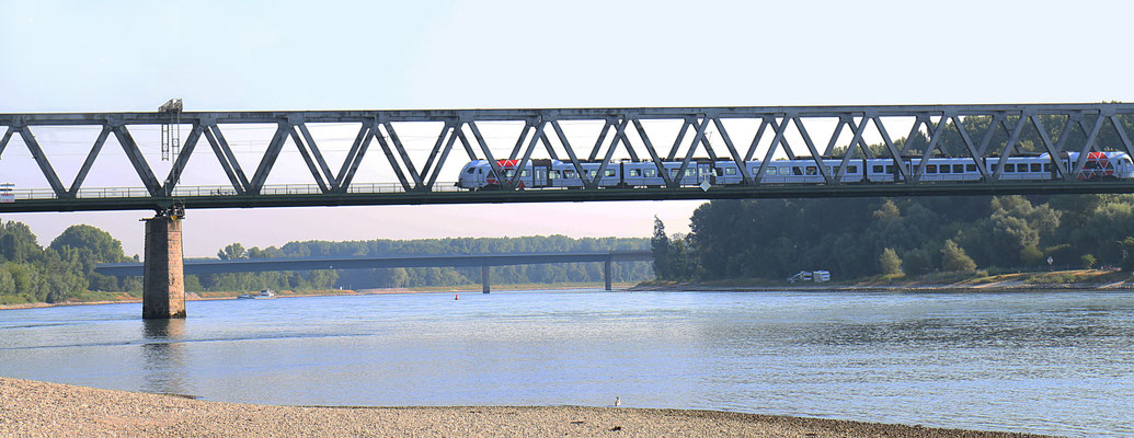 Ina Kegel_Rhein bei Germersheim