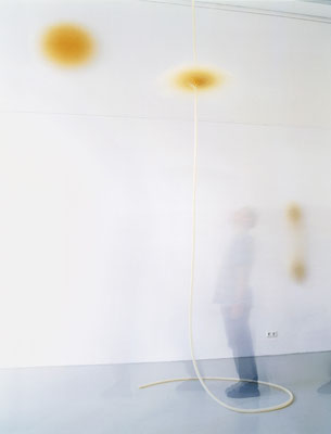„Gewächs“ 2000, Kreis Galerie, Nürnberg - Foto: Frank Weinberg