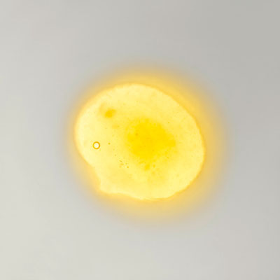 Sonne 3