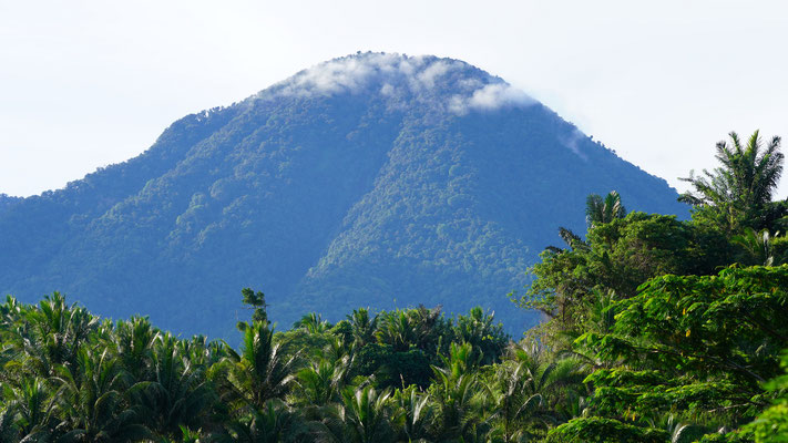 Tangkoko Berg / Mount Tangkoko