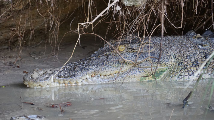 East Alligator River, Kakadu National Park