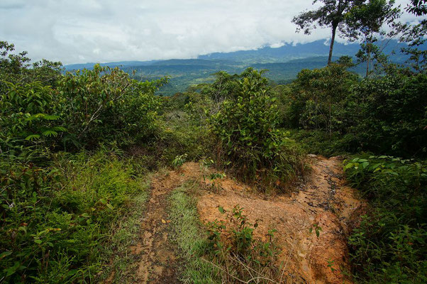 Dschungelwanderung im Departament El Putumayo ganz im Süden Kolumbiens
