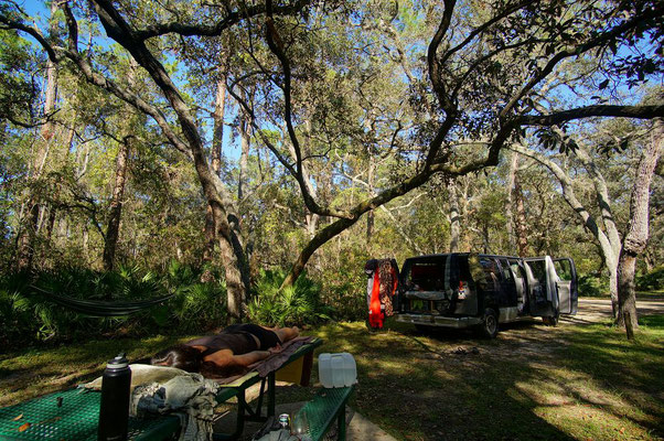 Florida: Wir campen unter den verzwirbelten Oaks und können wieder mal ausruhen.