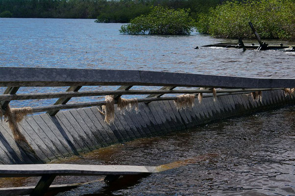 Hurricane Irma hat vieles zerstört im Nationalpark.