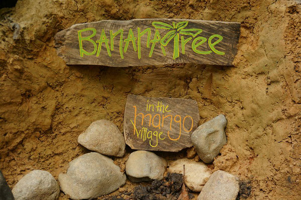 BANANATREE in the Mangovillage