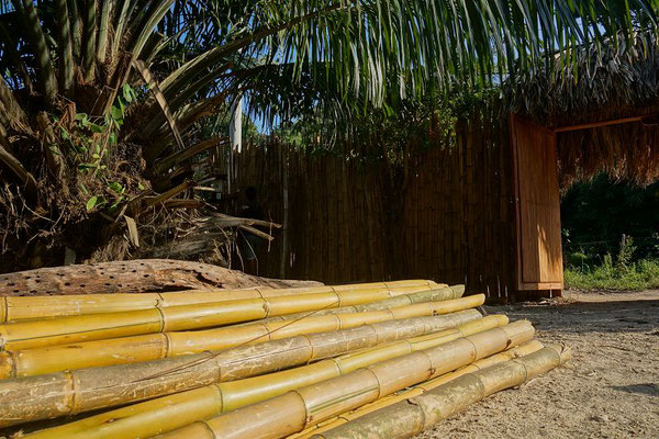 Für den Zaun brauchen wir noch mehr Bambus.