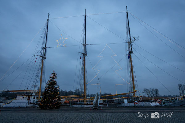 Lissi mit Weihnachtsbeleuchtung