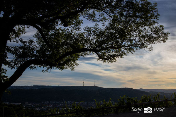 Blick zum Stuttgarter Fernsehturm