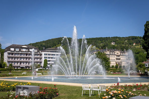 Im Rosengarten