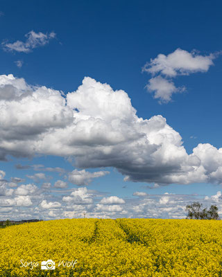 Wolken & Raps