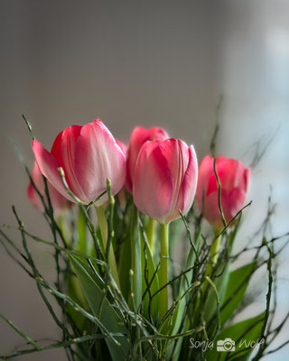 Woche 11 / Farbe tut gut