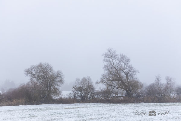 Schneelandschaft