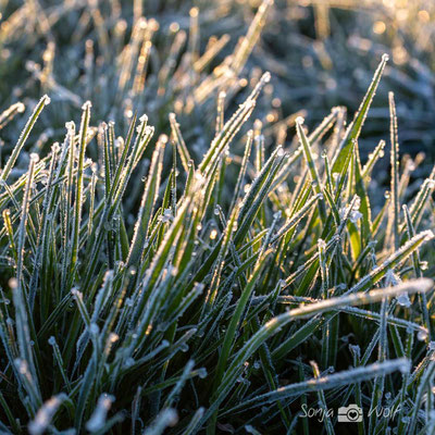 Woche 13 / frostige Tröpfchen