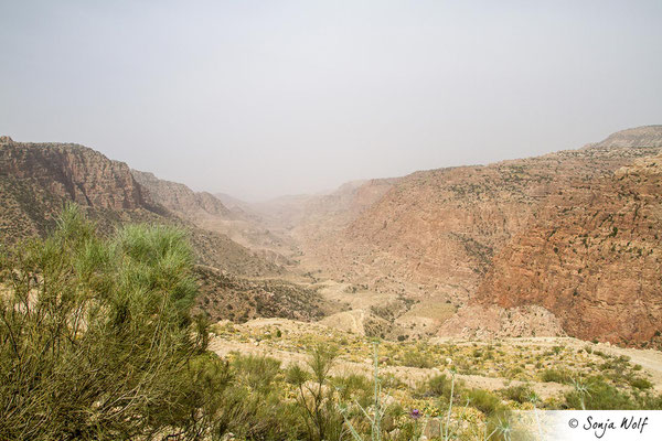 Wadi Dana