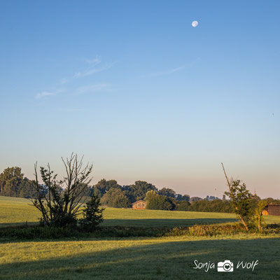 Mond am frühen Morgen