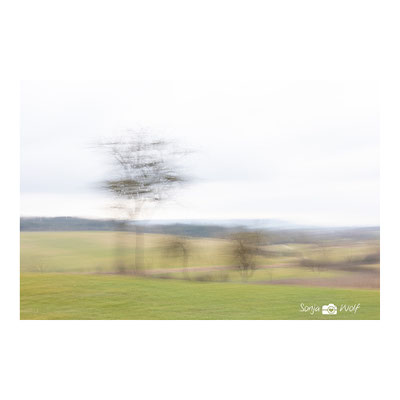Woche 11 / Blick Richtung Alb