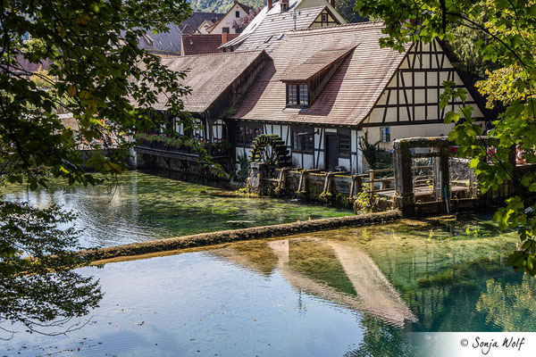 Blautopfhaus