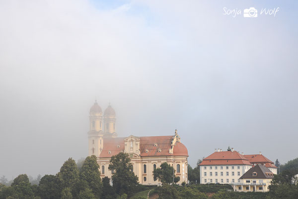 Woche 36 / Schönenberg im Morgennebel