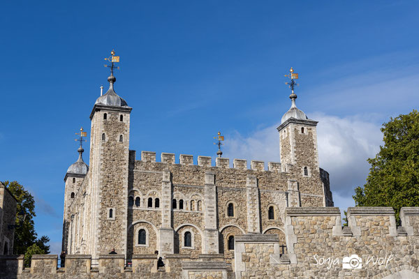 The Tower