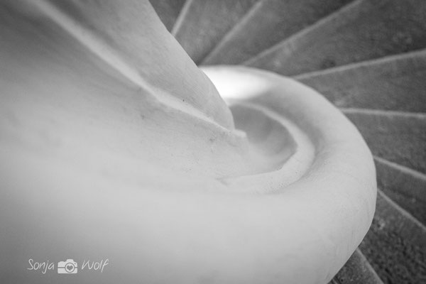 Die Wendeltreppe