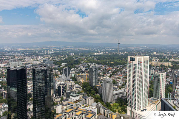 Blick zum Fernsehturm