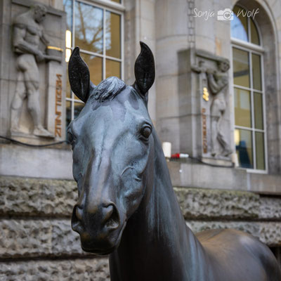 Donnerhall