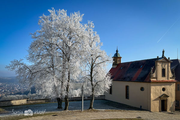 Woche 04 / Winter-"Laub"