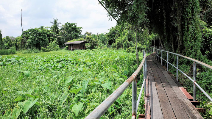Unbekanntes Bangkok: Klongtour mit Green-Mango Travel