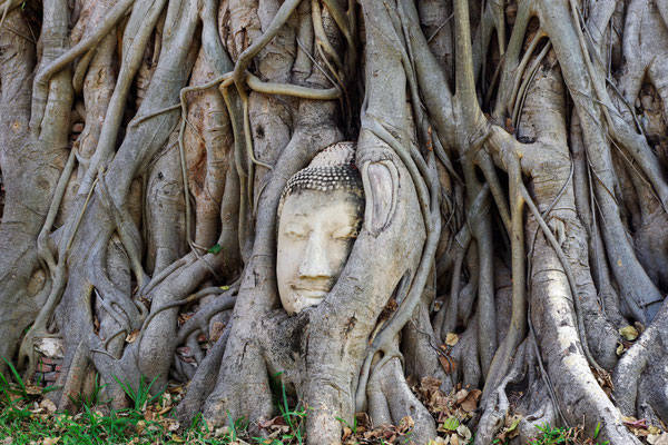 Deutschsprachige Ayutthaya Tour