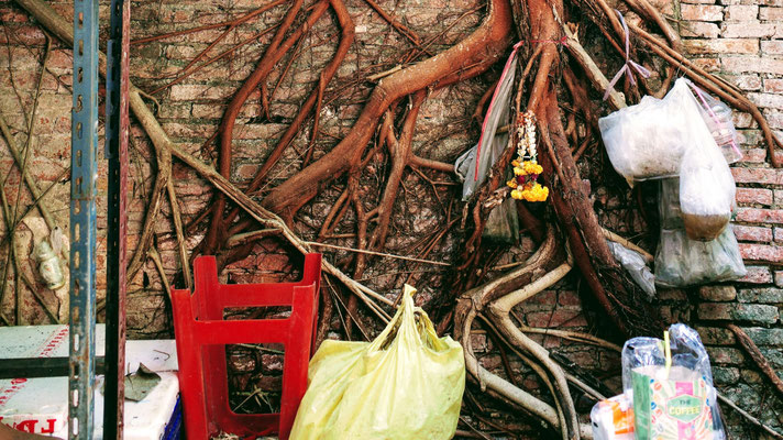 Expedition Chinatown: Auf Entdeckungstour durchs unbekannte Bangkok