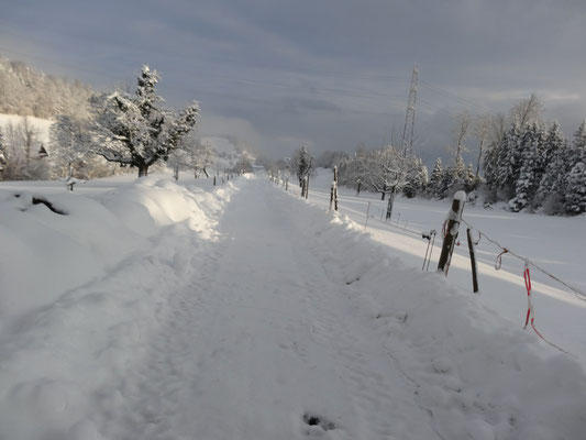 zauberhafte Winterlandschaft Büebliswil