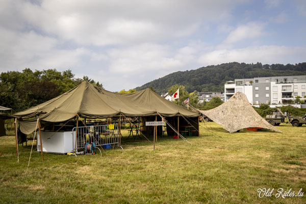 Int. Meeting CVM Steesel