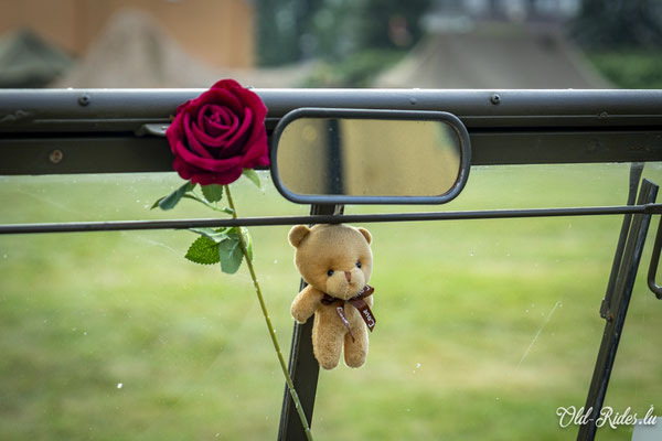 Int. Meeting CVM Steesel