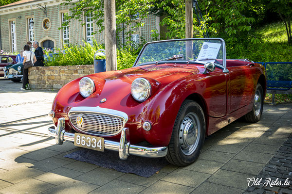 British Car Day