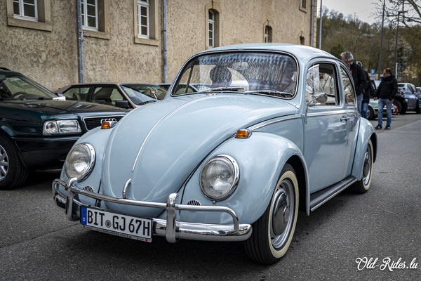 Car-Sonndig