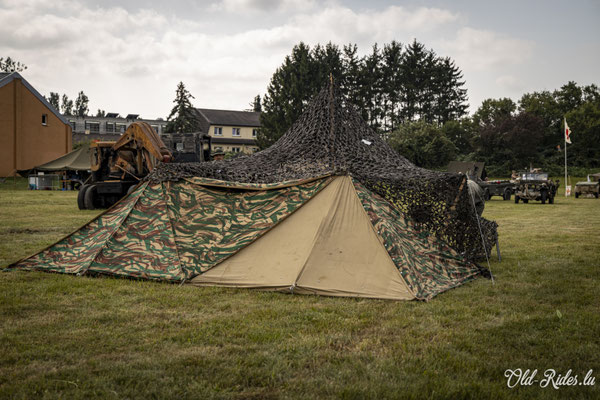 Int. Meeting CVM Steesel