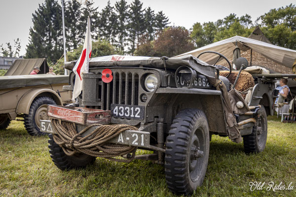 Int. Meeting CVM Steesel