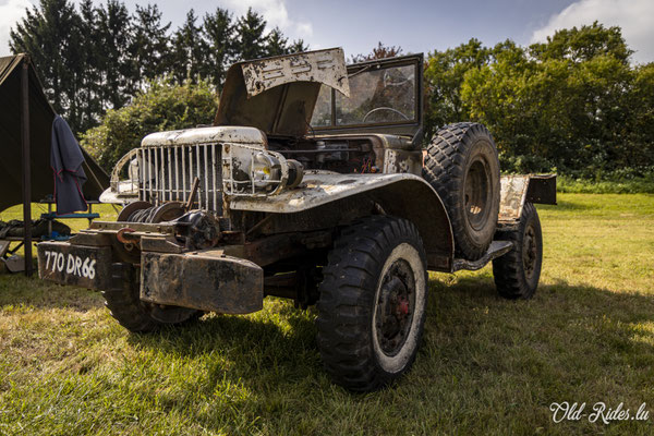 Int. Meeting CVM Steesel