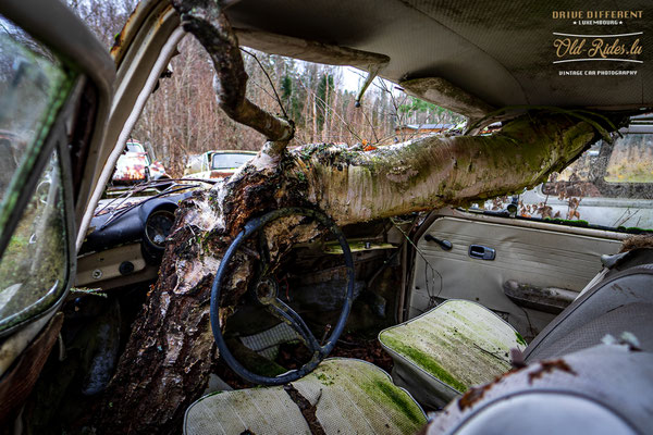 Auto Kierfecht Bilkykogarden