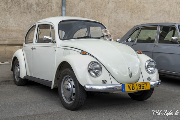 Car-Sonndig