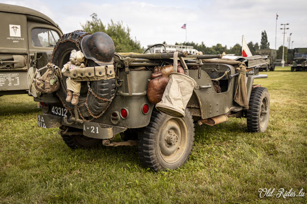 Int. Meeting CVM Steesel